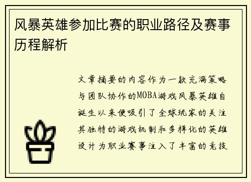 风暴英雄参加比赛的职业路径及赛事历程解析